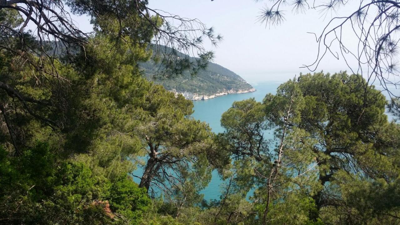 Olive&Sea Villa-Sea Маттіната Екстер'єр фото