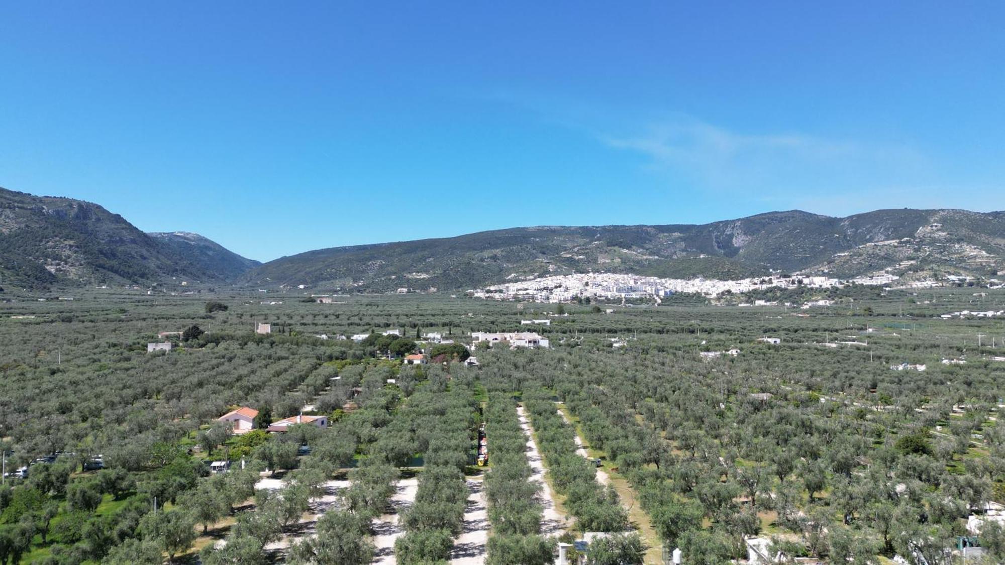 Olive&Sea Villa-Sea Маттіната Екстер'єр фото